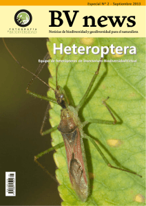 Especial Heteroptera - Biodiversidad Virtual