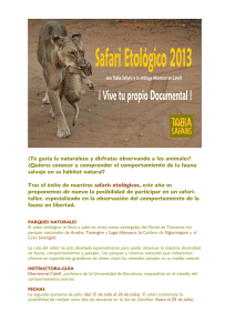 safari taller etologia 2013