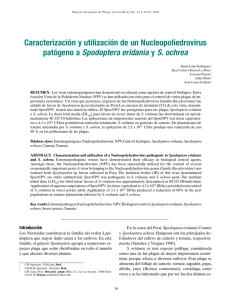 Caracterización y utilización de un Nucleopoliedrovirus patógeno a