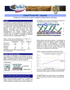 Fylax Forte HC - líquido