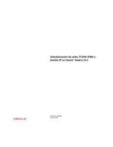Administración de redes TCP/IP, IPMP y túneles IP en Oracle