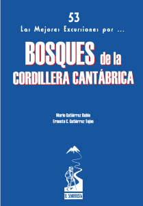 BOSQUES DE LA CORDILLERA CANTÁBRICA