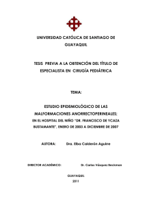 universidad católica de santiago de guayaquil tesis previa a la