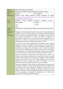 3. SSME Biomasa en Paraguay, generalidades