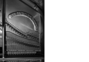 Piano Steinway del Auditorio