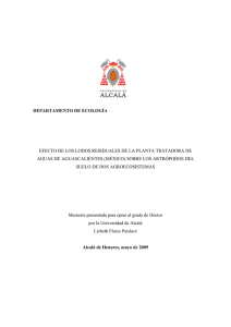 orden hymenoptera - Universidad de Alcalá