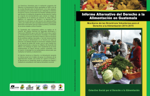 Informe Alternativo del Derecho a la Alimentación en