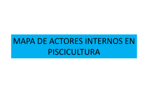 Mapa de Actores Internos