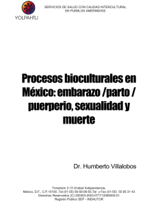 Procesos bioculturales en México: embarazo /parto