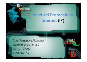 Panel del Protocolo de Internet (IP)