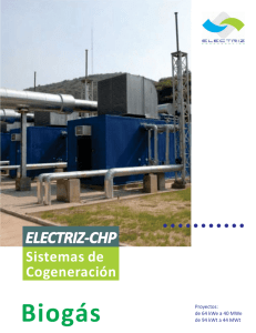 Electriz-CHP BG.cdr