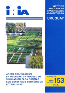 Arroz transgénico en Uruguay: Un modelo de