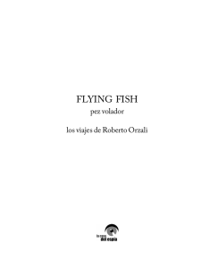 flying fish - Ferrowhite