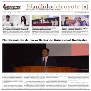 - Universidad Xochicalco
