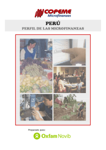 Perú: Perfil de las Microfinanzas
