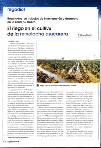 El riego en el cultivo de la remolacha azucarera