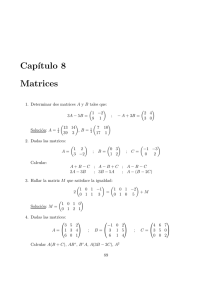 Cap´ıtulo 8 Matrices - Ana Mercado Carmona