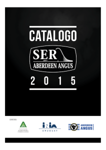 ANGUS - interior Catalogo Toros 2015.pmd