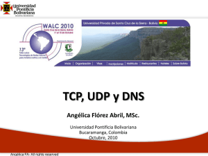 TCP, UDP y DNS