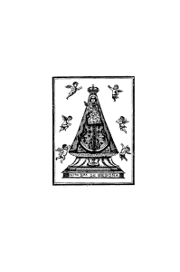Nuestra Señora de Begoña, Patrona de Vizcaya. Crónica de los