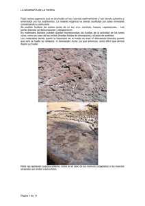 LA BIOGRAFÍA DE LA TIERRA Página 1 de 11 Fósil: restos