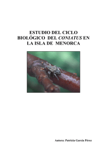 estudio del ciclo biológico del coniatus en la isla de menorca
