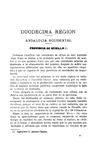 Duodécima Región.— Andalucía Occidental