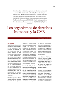Los organismos de derechos humanos y la CVR