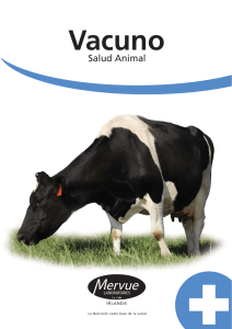 cow brochure spanish a4_Layout 1