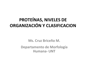 dominio proteico