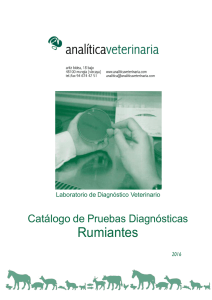 "catálogo de análisis" en formato pdf
