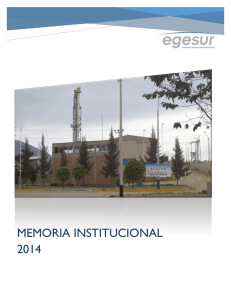 A200K_2014 - Empresa de Generación Eléctrica del Sur SA