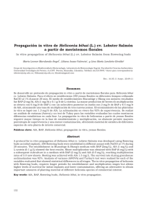 Propagación in vitro de Heliconia bihai (L.) cv