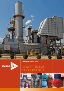 CYDSA-Informe Anual 2014