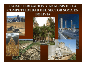 Análisis del Sector Soya en Bolivia
