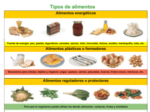 Tipos de alimentos - Gobierno de Canarias