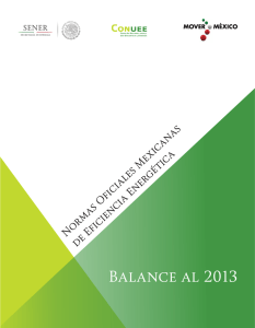 Balance al 2013