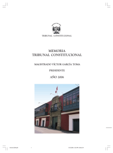 2006 - Tribunal Constitucional