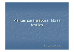plantas textiles