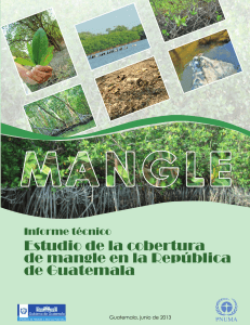 Estudio-de-la-cobertura-de-mangle-en-Guatemala-FINAL