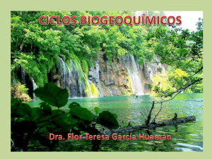 Ciclos-biogeoquímicos