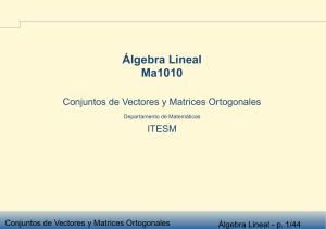 Álgebra Lineal Ma1010 (2)
