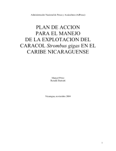 Plan de Accion para el manejo del caracol Strombus gigas de Nicaragua