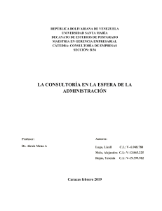 BORRADOR CONSULTORIA DE EMPRESAS - copia (2)