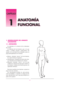 anatomia funcional