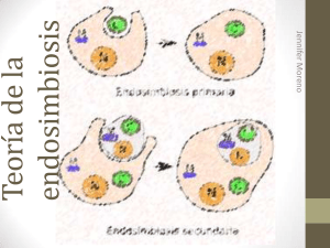 teoria endosimbiosis