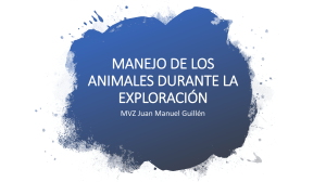 MANEJO DE LOS ANIMALES DURANTE LA EXPLORACIÓN