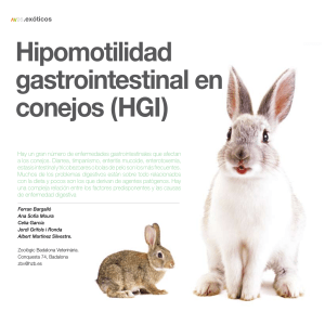 Hipomotilidad gastrointestinal conejos