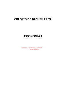 COLEGIO DE BACHILLERES- ECONOMIA