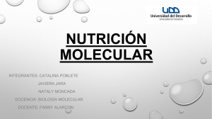 Nutrición molecular